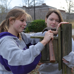 Wesleyan WOWs Macon with community-wide service event