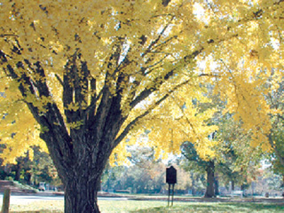 Campus Spotlight