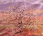 bruce_cherrytree