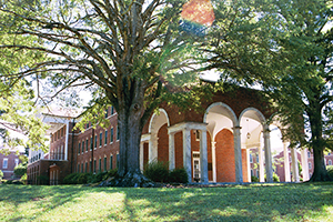 Wortham300