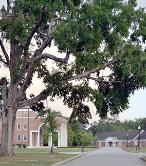 hightowerhall