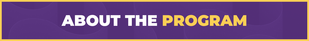 About the Program