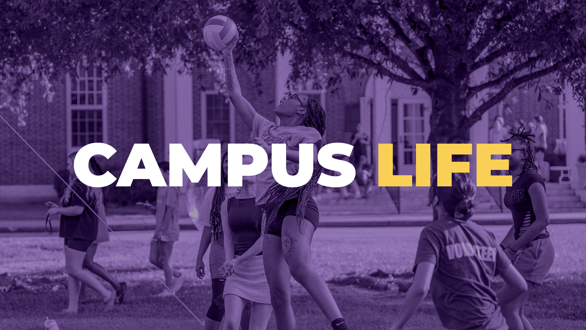 Campus Life Purple Tile v2