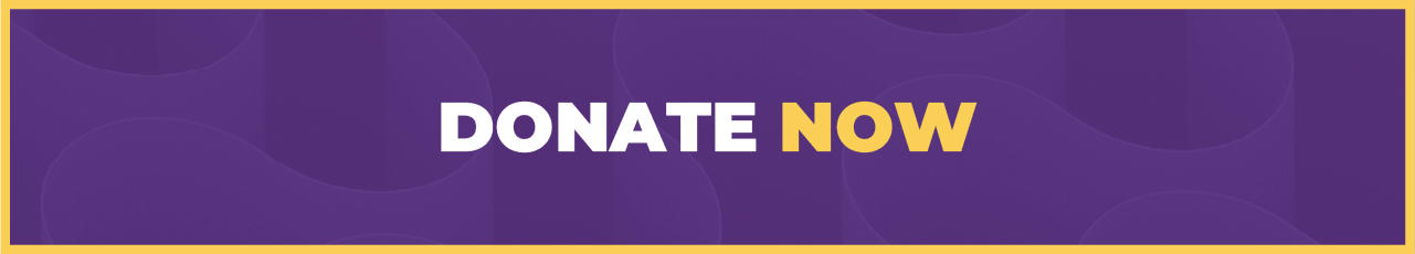 Donate Now Button
