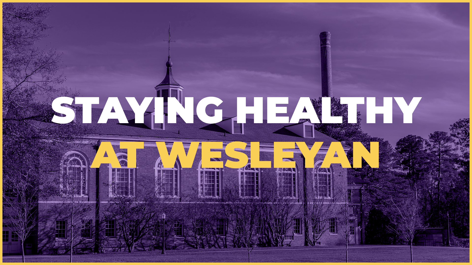 Health and Wellness Purple Tile