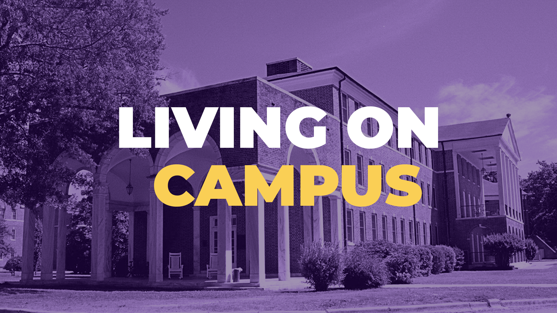 Living on Campus Residence Hall Purple