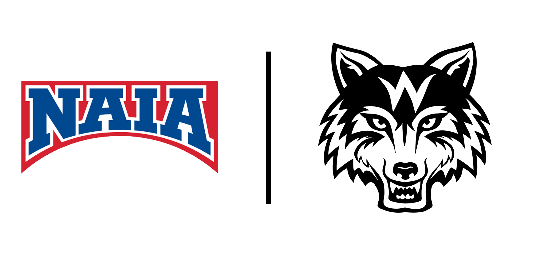 NAIA Logo