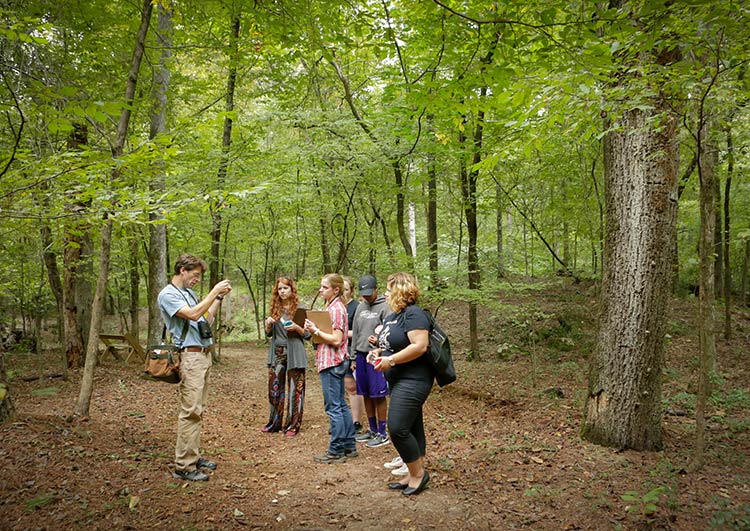 Students walking in the Woods.