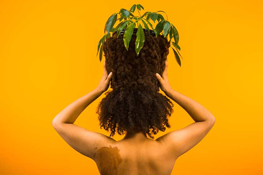 Photo of woman holding potted plant on head