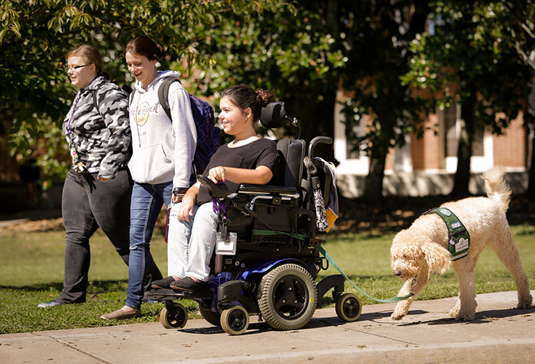 Student in electronic wheelchair goes to class with two classmates and her service dog on sunny day.